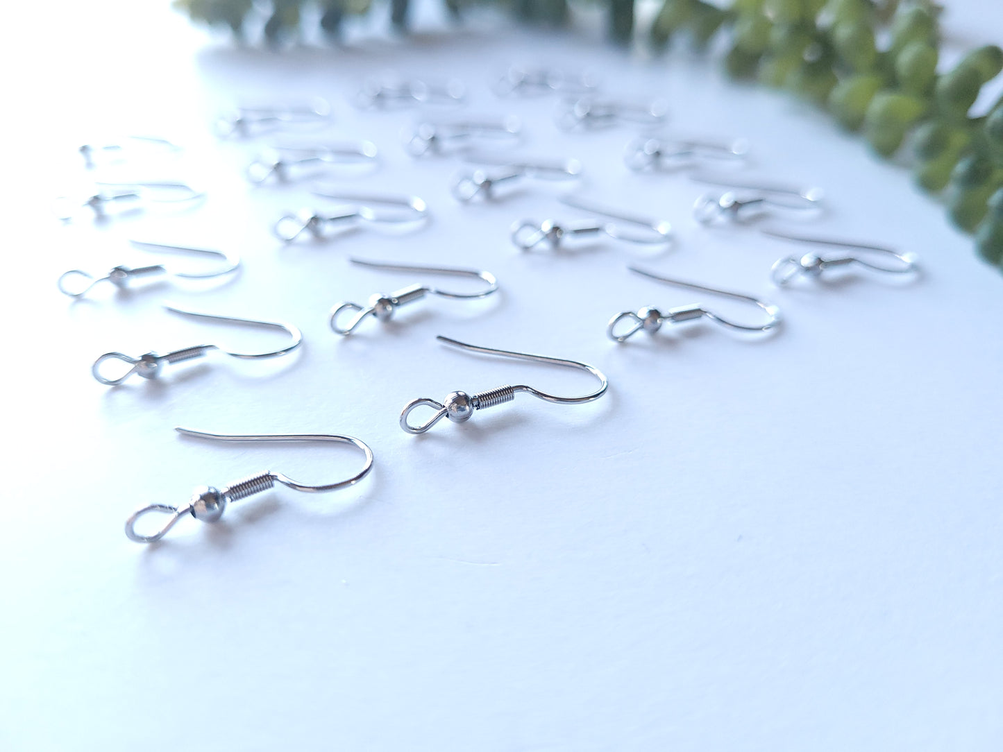 Earring Hooks, Forward Facing - Stainless Steel - 20 pieces